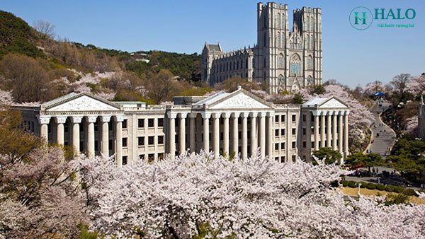 truong-dai-hoc-kyunghee-university